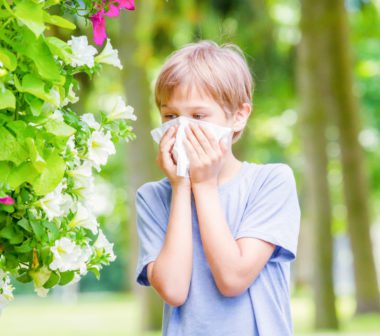 How to Reduce Common Spring Allergens in the Home